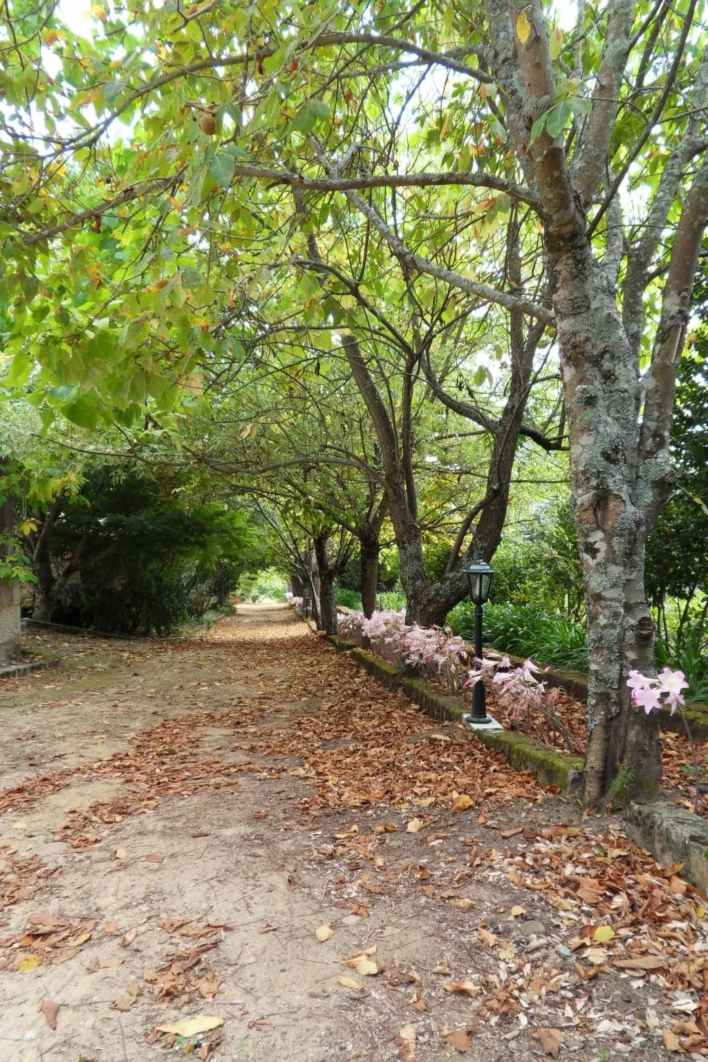 Finca "Quinta do Bento Novo"-Buiten