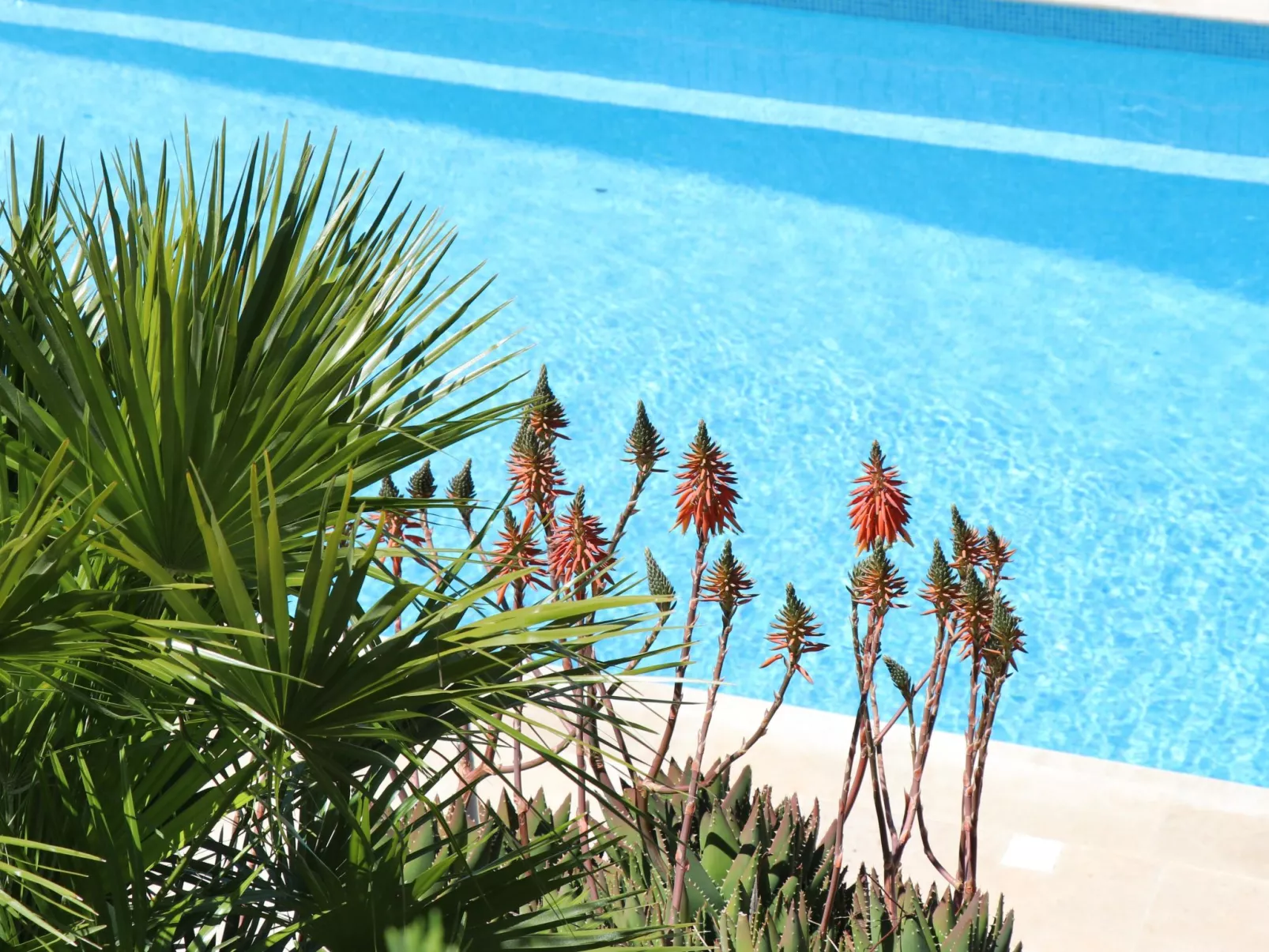 "Mesomax" mit Meerblick-Buiten