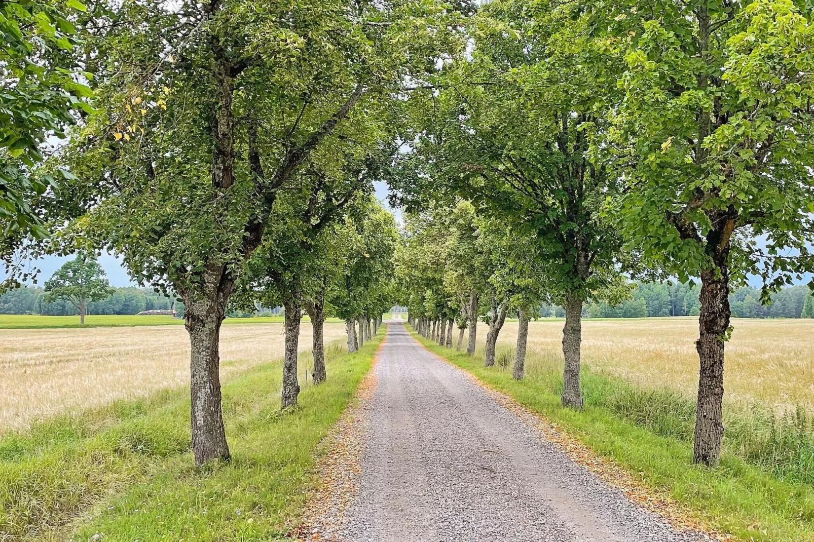 5 sterren vakantie huis in HJORTKVARN-Niet-getagd