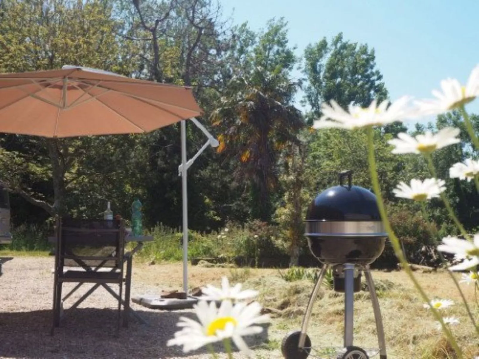 Le Bois aux Ecureuils (Eichhörnchenwald)