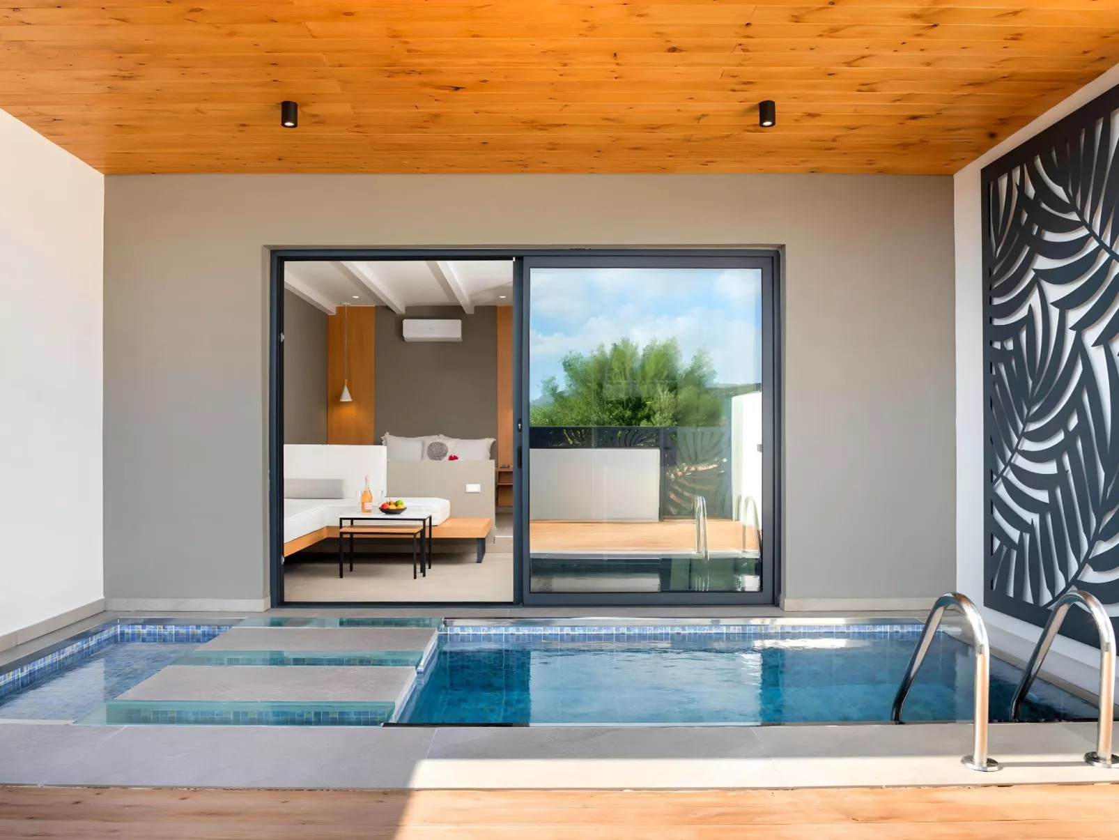 Canes Suite Privater Pool