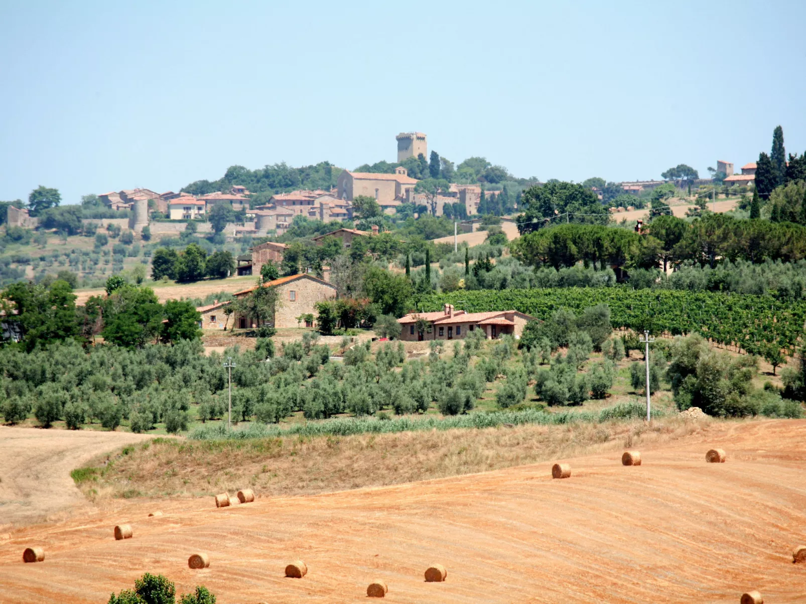 Tenuta "Podere Osteria"-Omgeving