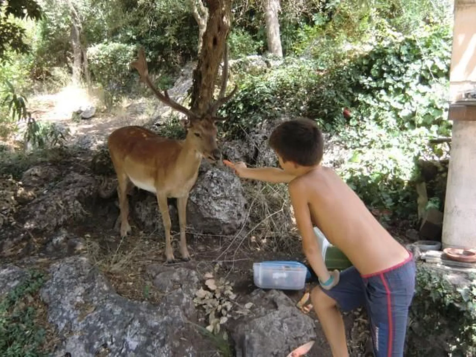 'Villa Paradisino-Buiten