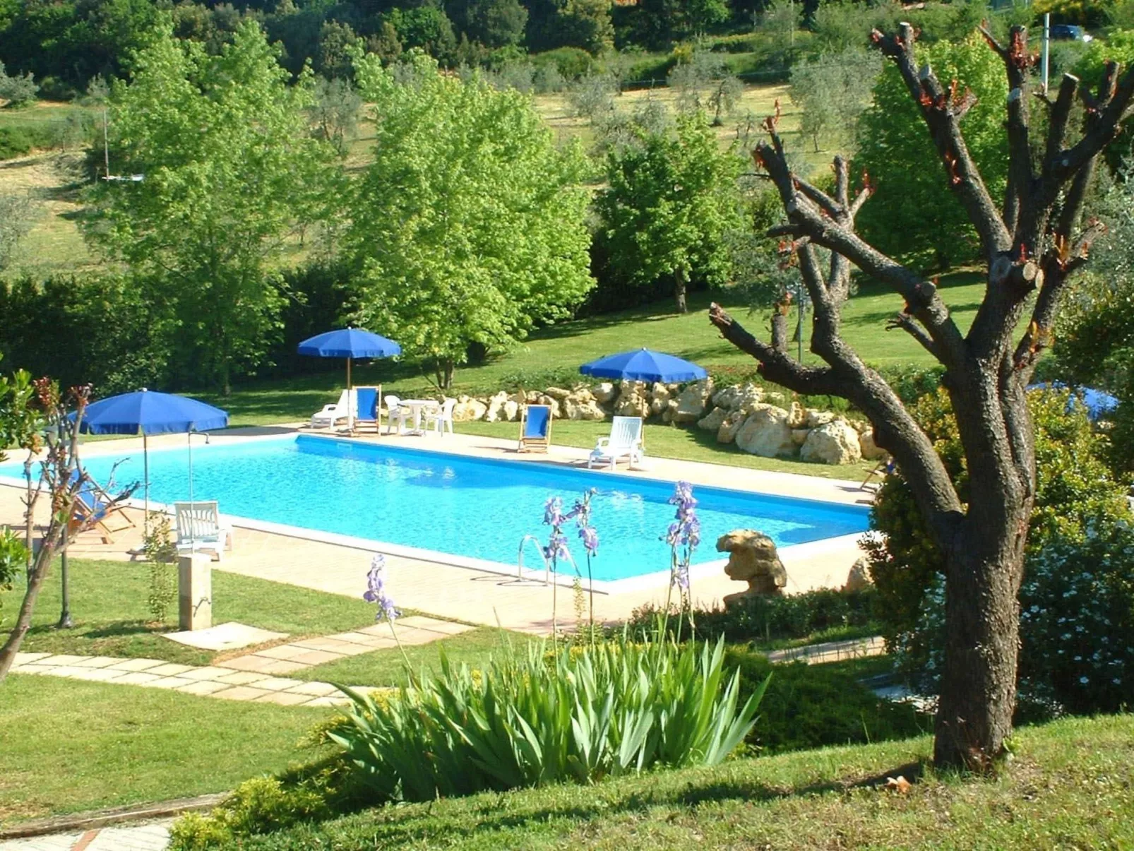 Flach "Madonnino corbezzolo T6-Buiten