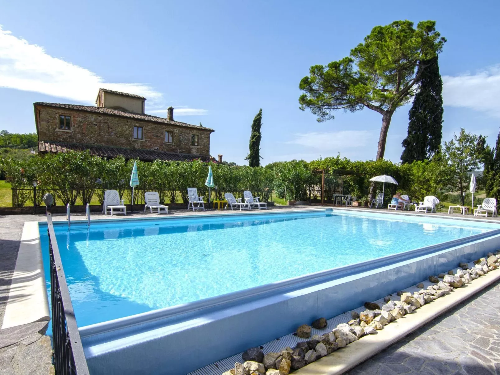 "Rosmarino castellt"-Image-tags.info