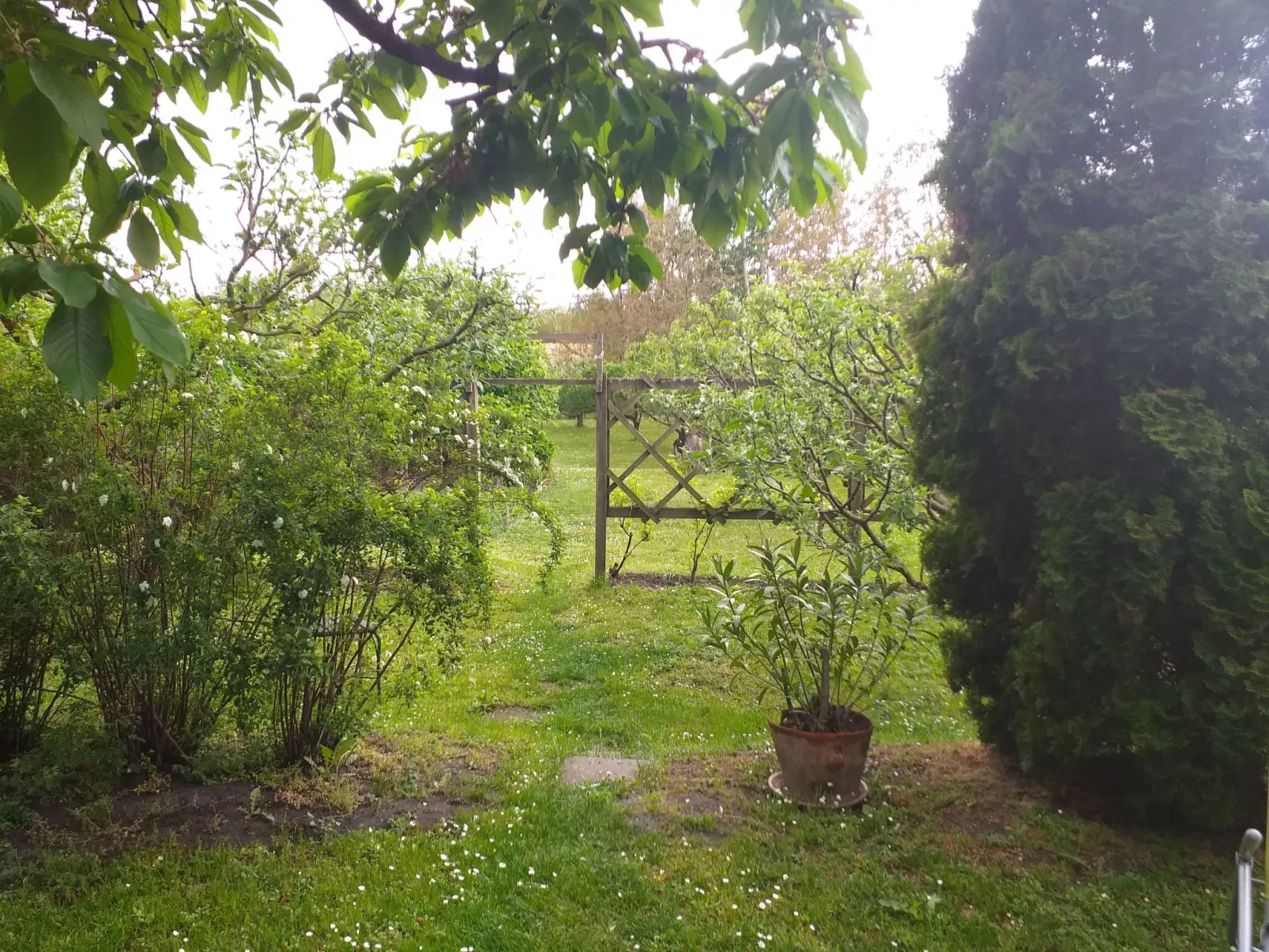 Bequem eingerichtetes Familienhaus für 8 Personen-Image-tags.info