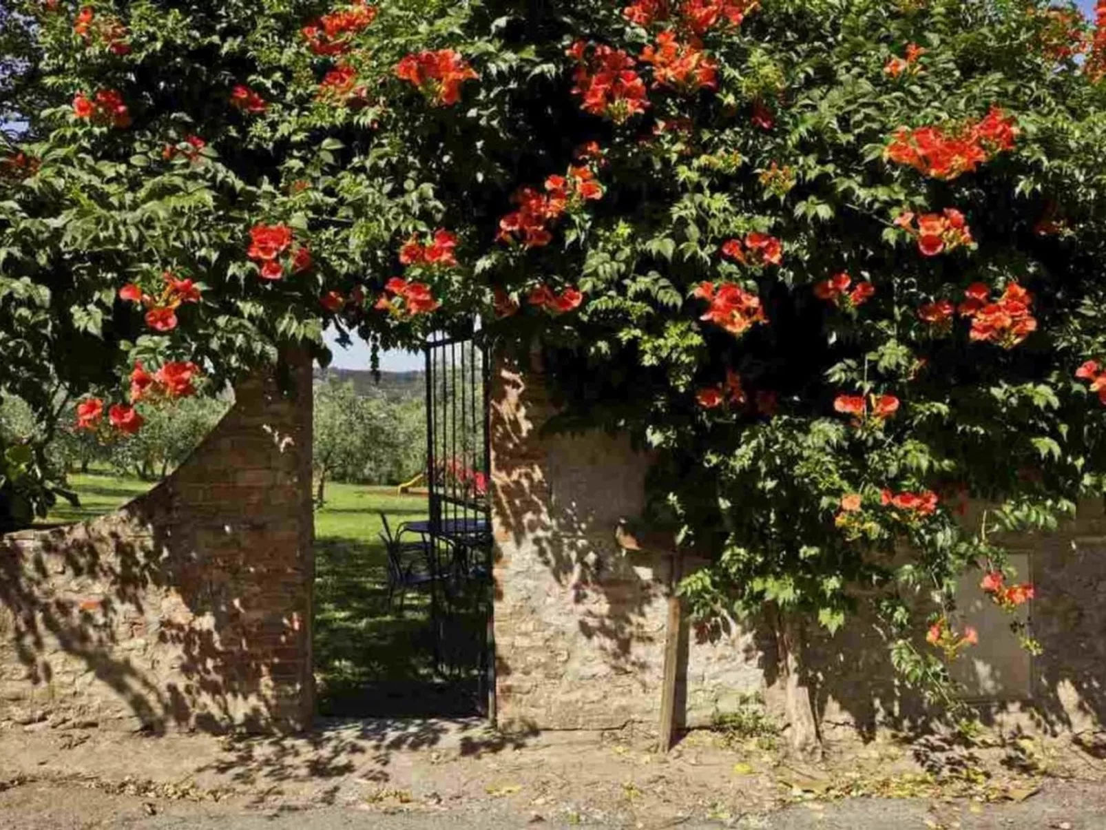 Flach "Giaggioli capponi-Buiten