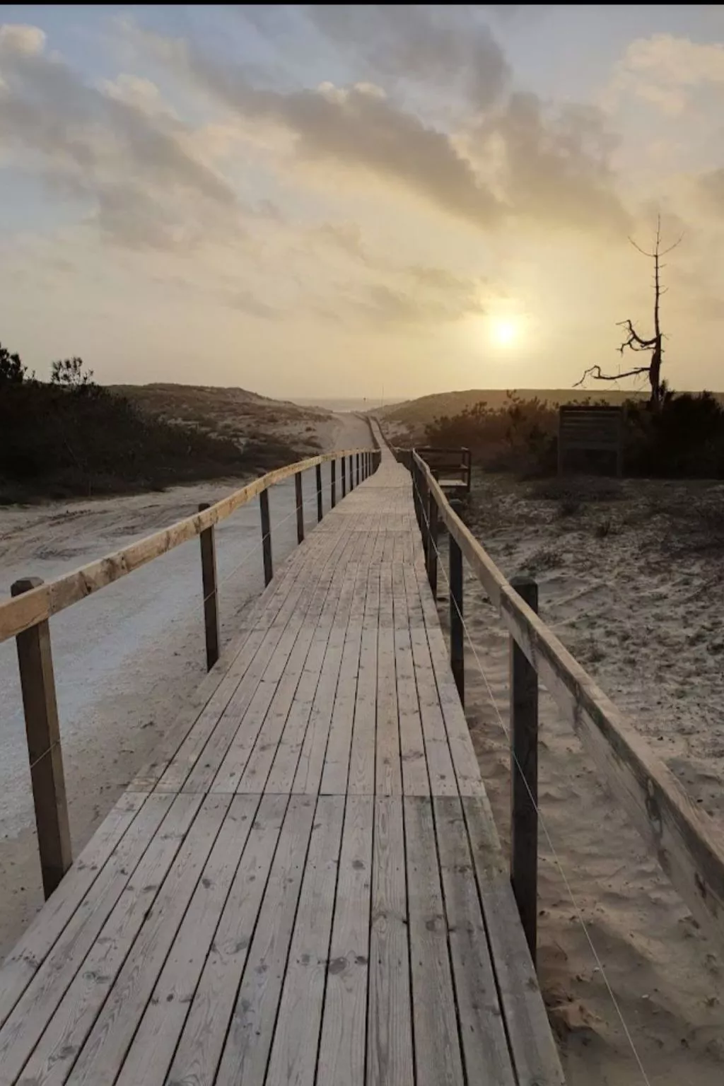 Mobil-home tout confort Camping 5 à Montalivet