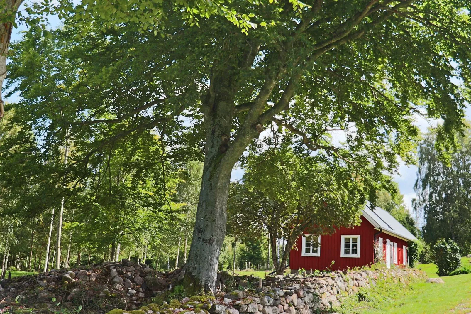 4 persoons vakantie huis in UNNARYD-By Traum-Buitenlucht