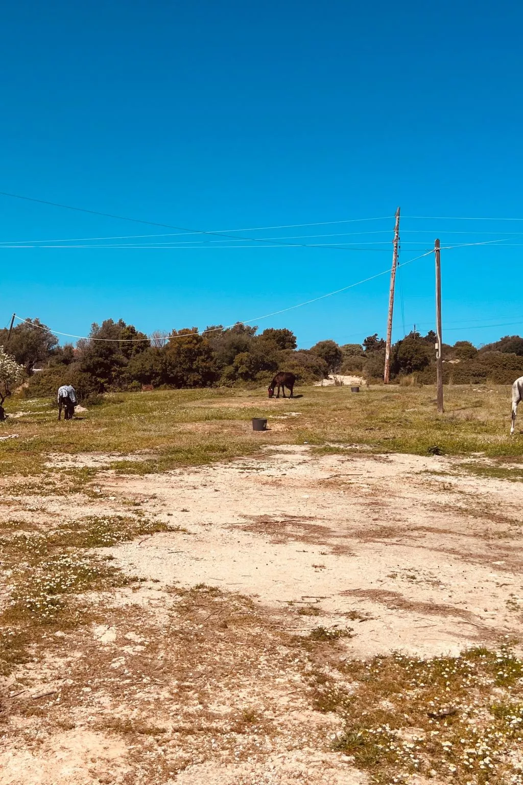 "Naya" mit eigenem Pool-Buiten