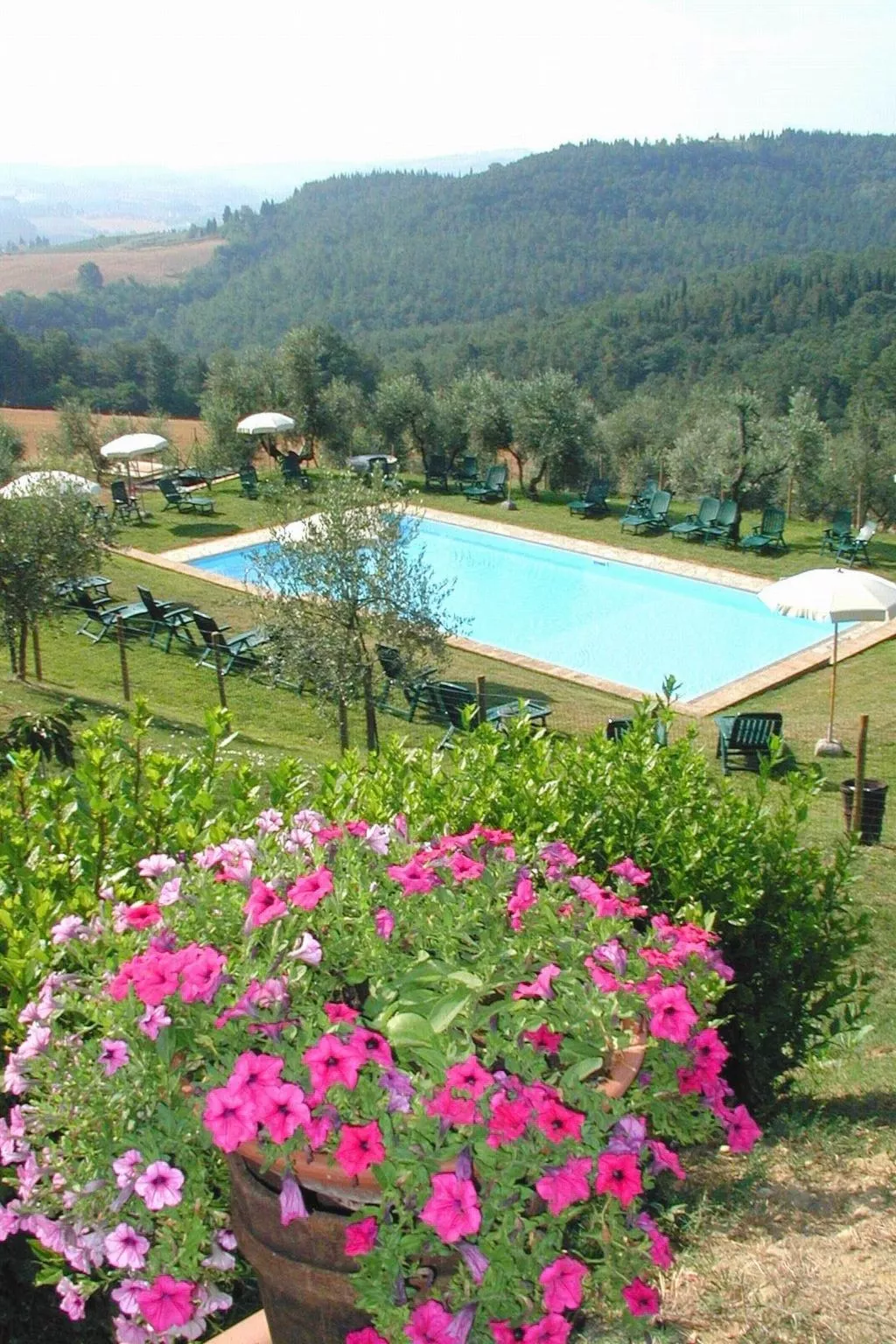 'Pini capponi' mit Pool-Buiten