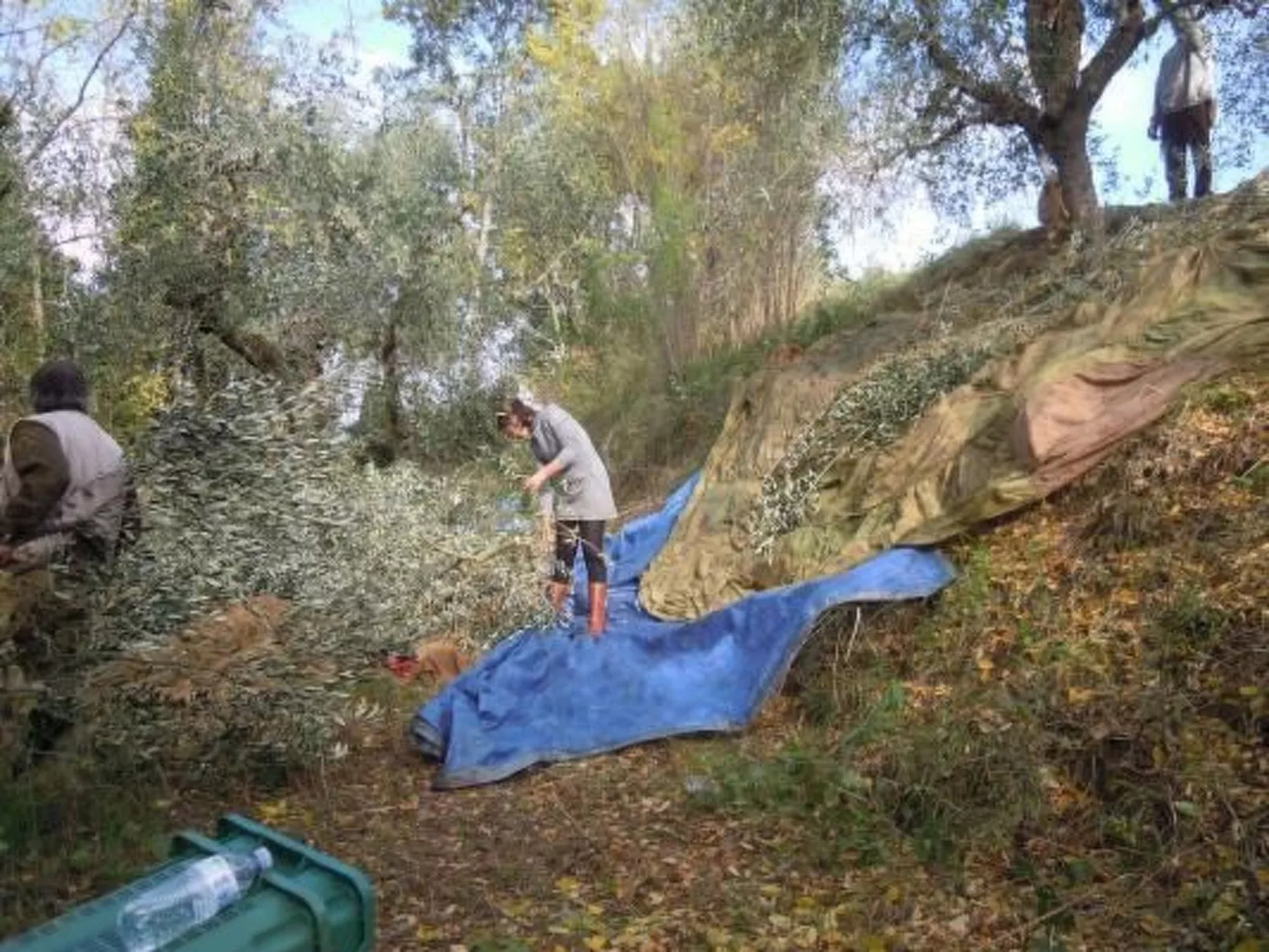 'Il Segno' mit Terrasse-Image-tags.info