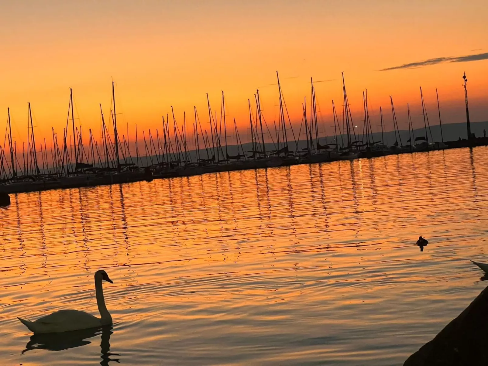 Dorina Wellness in Siofok