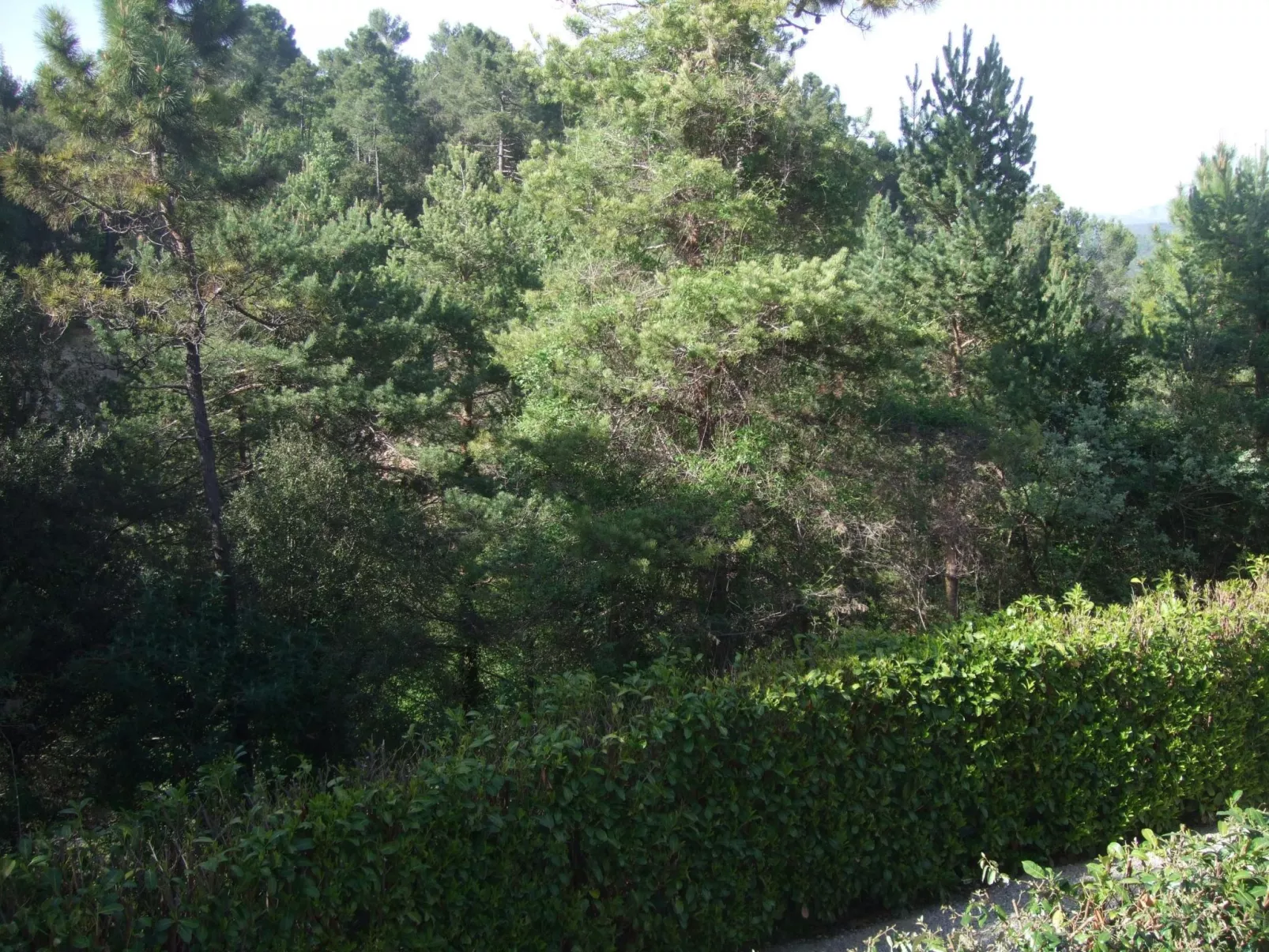 Villa Verdi A Wohnung inmitten der Natur-Buiten