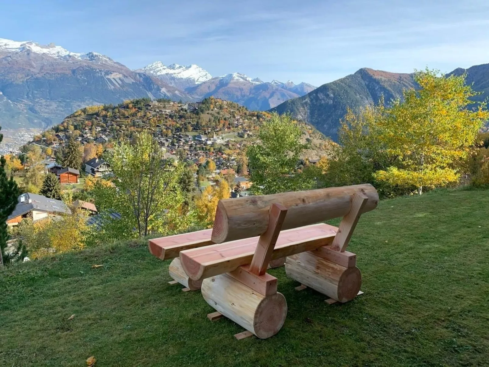 Blue Merle-Image-tags.info