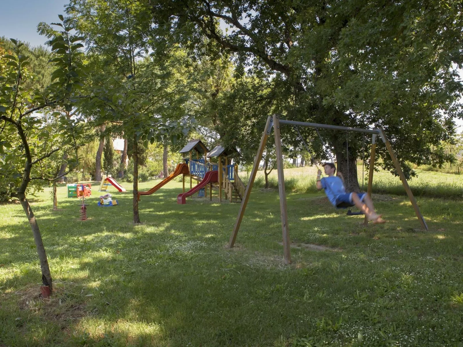 Flach 'Molinello Cipresso-Image-tags.info