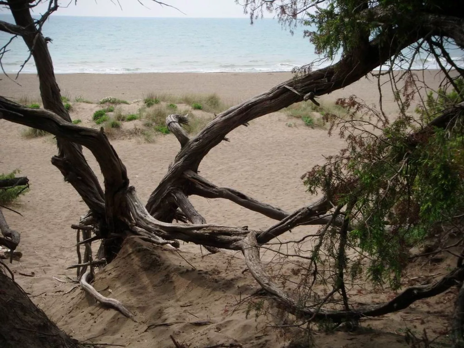 Buganvilla' Wohnung mit privater Terrasse-Buiten