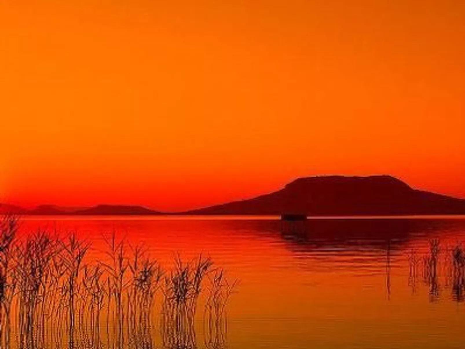 FO-171-Image-tags.info