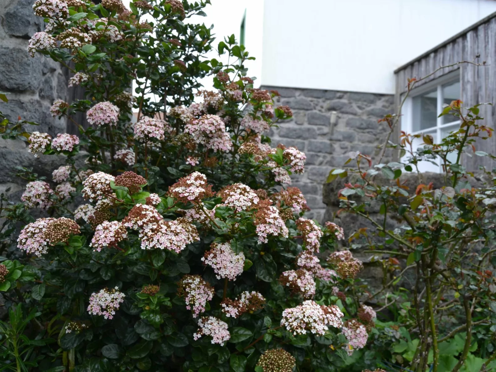 Tradicampo-Ferienhaus A Arribana-Buiten