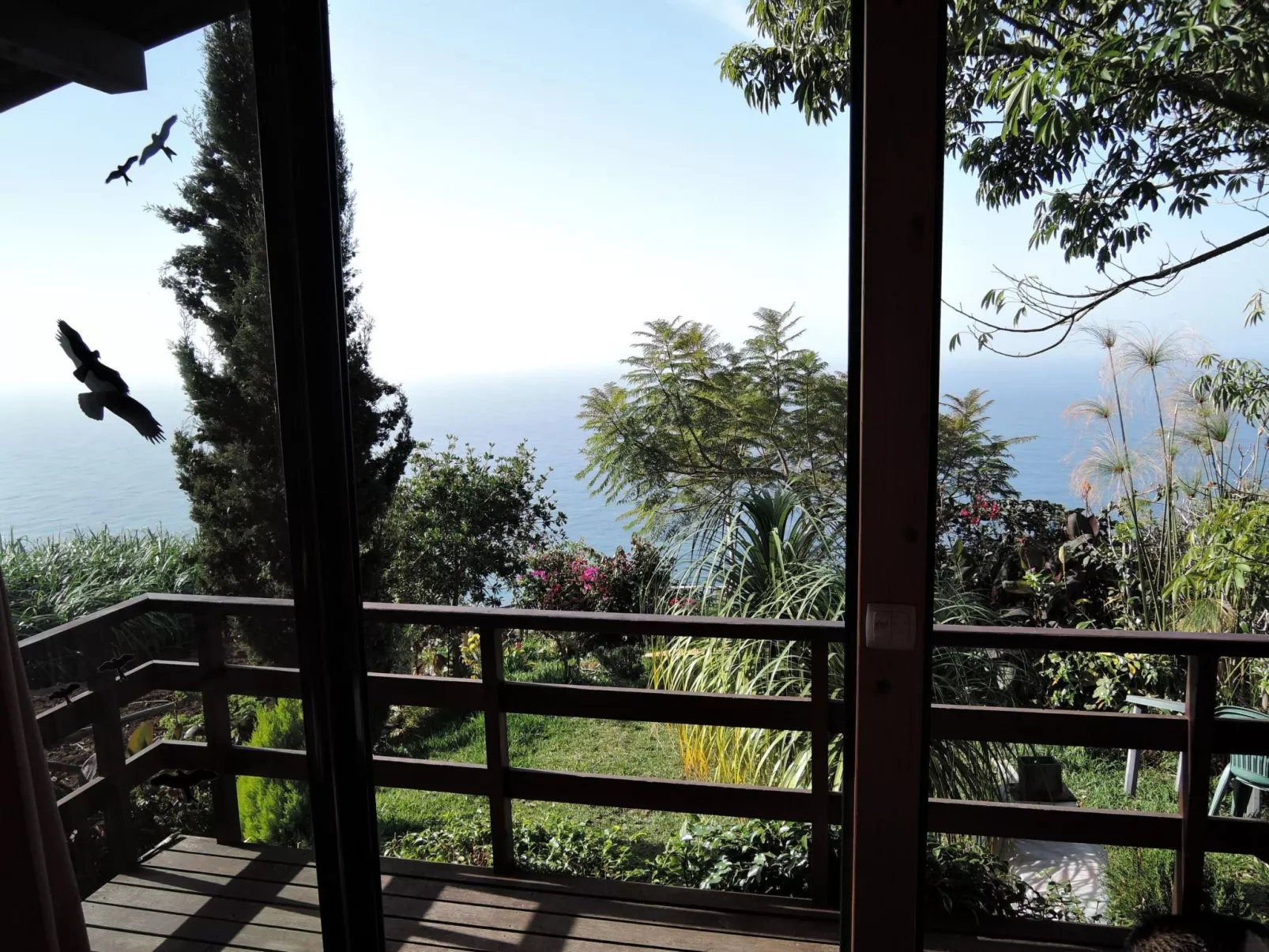 In Canhas mit Schönem Garten