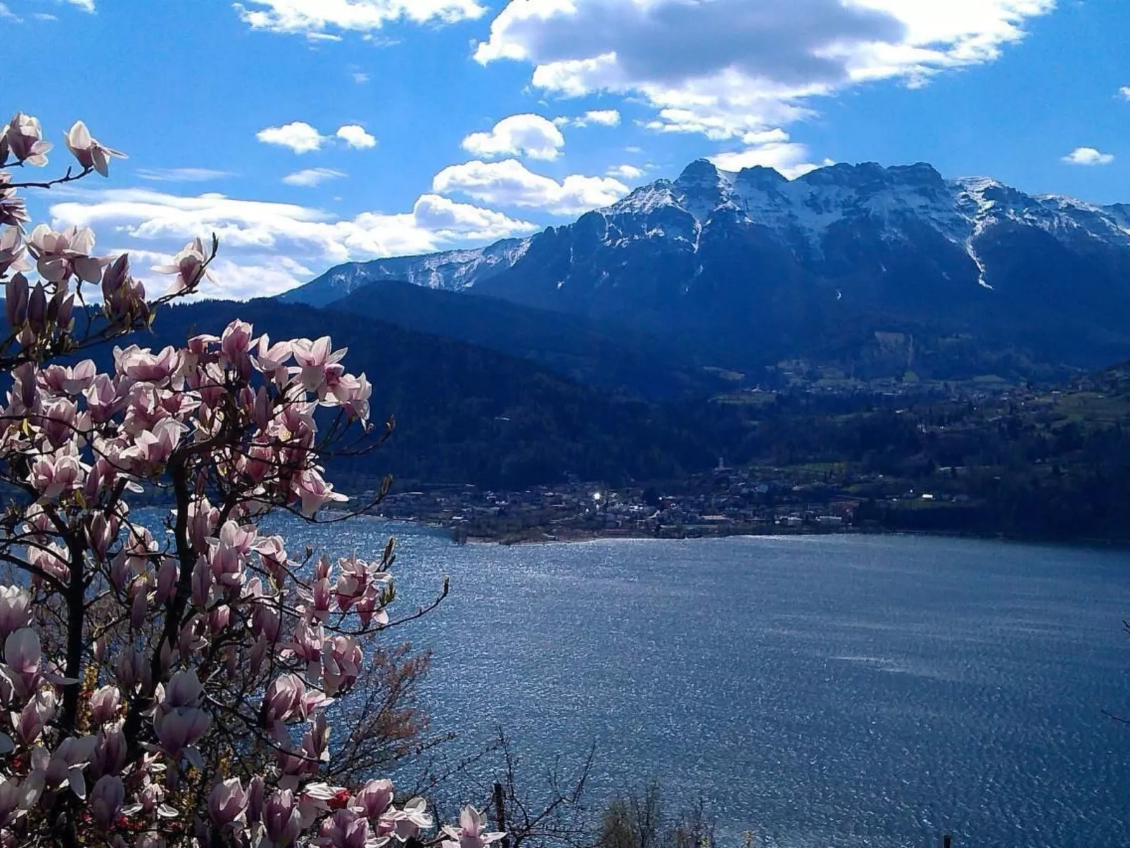 'Irma'-Image-tags.info