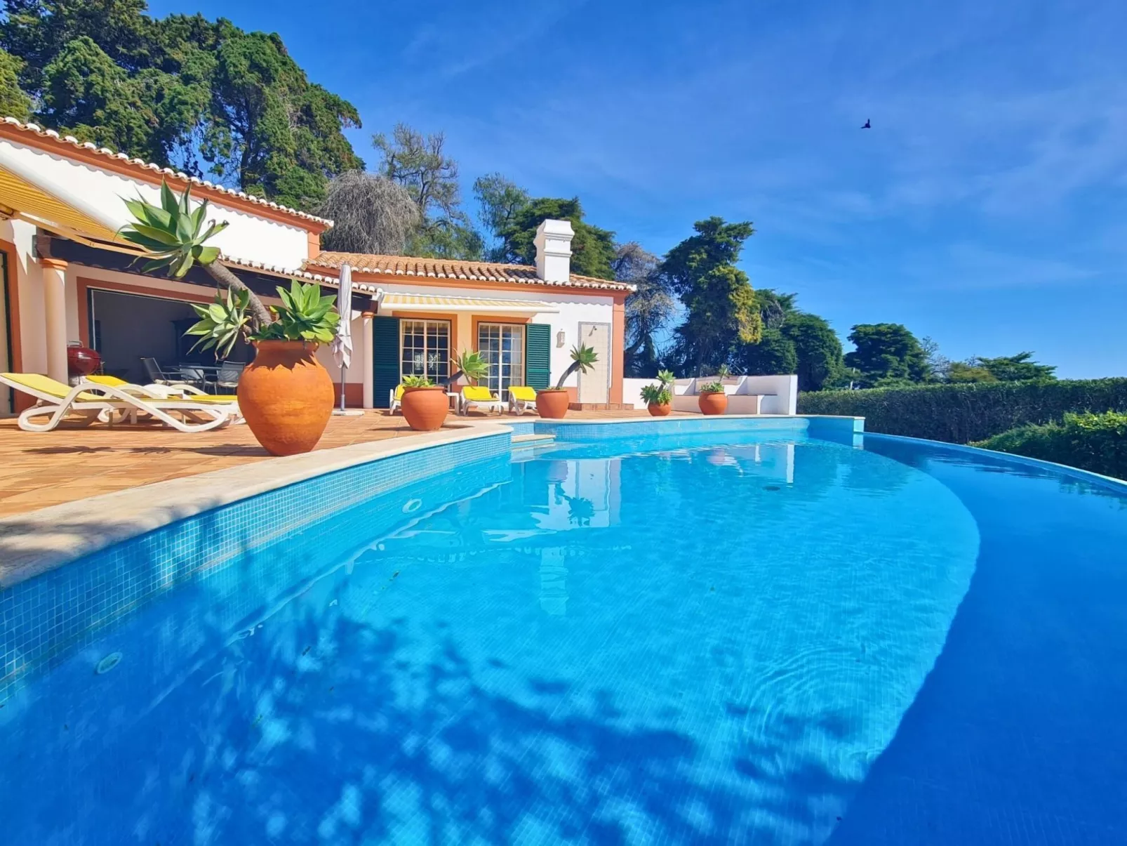 Villa Doce Vida-Image-tags.info