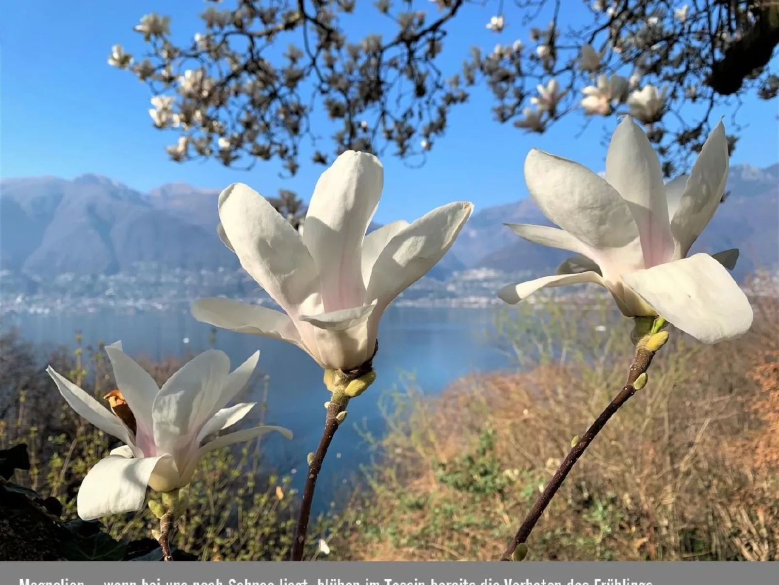 Casa Daniela 38-Buiten