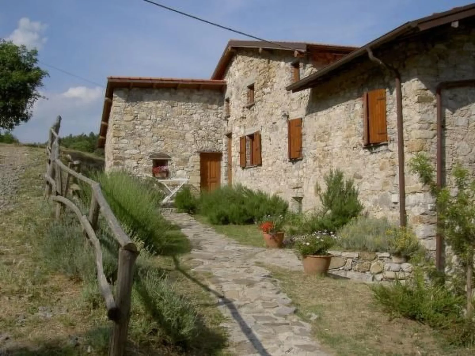 Lumache-Image-tags.info