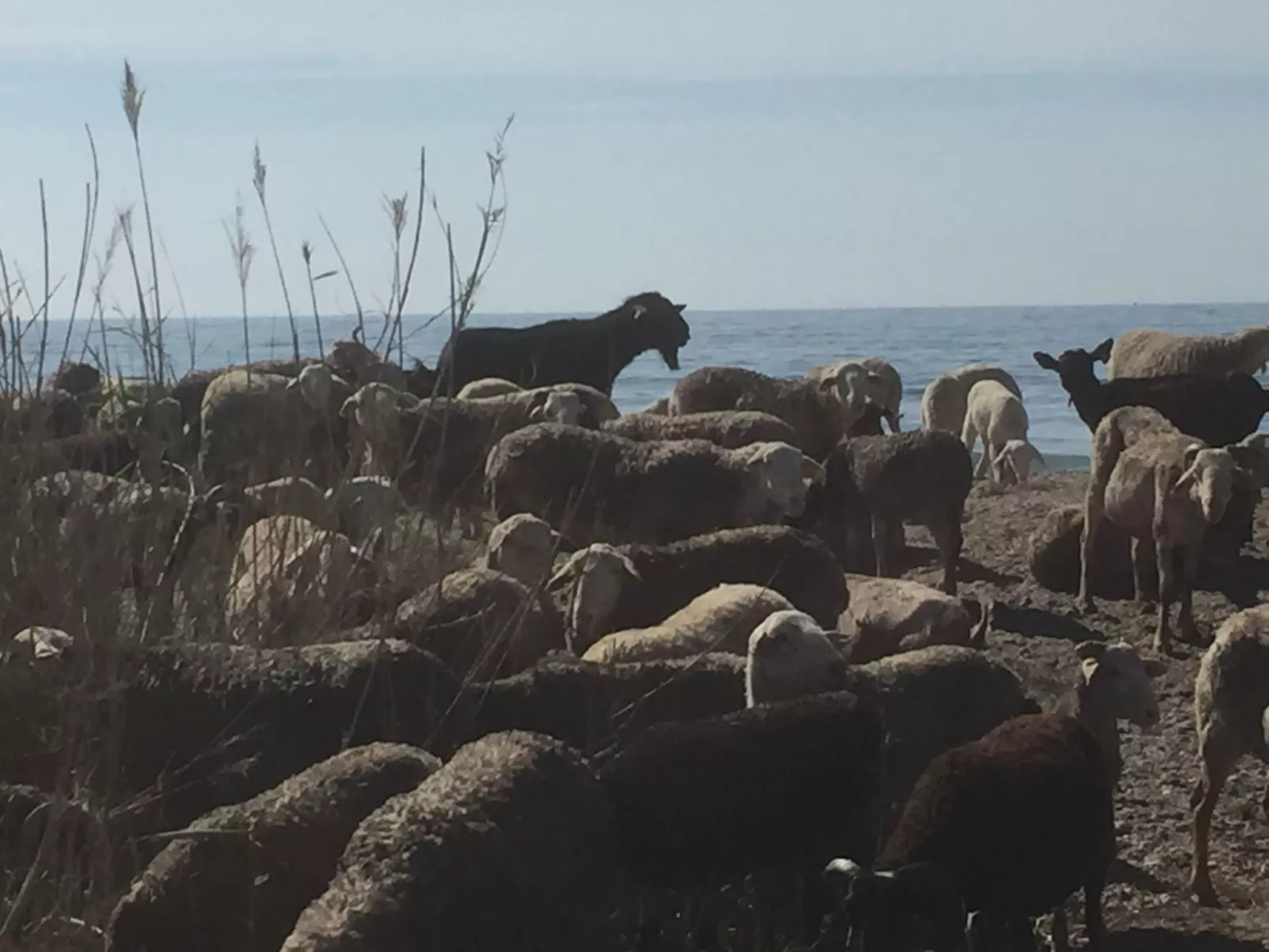 Casa Montana in Küstennähe... sehr empfehlenswert.