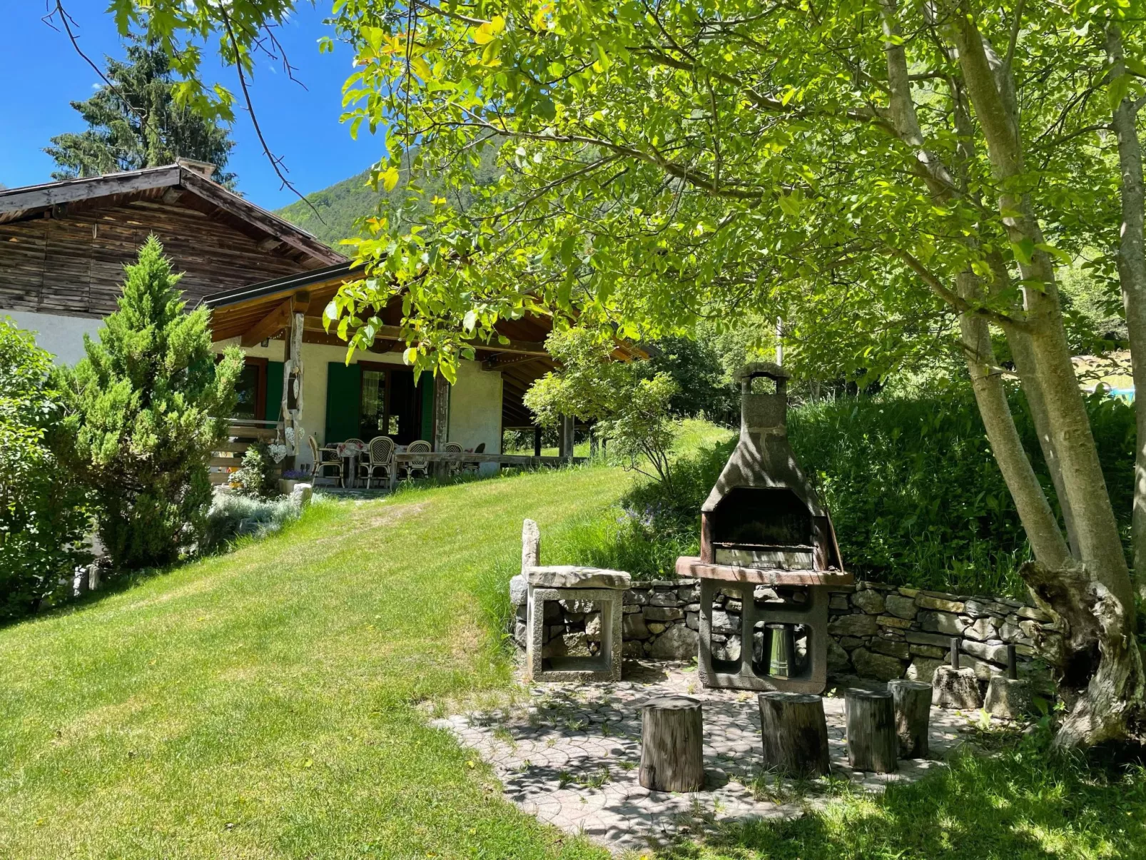 Gesegnet wie Frösche auf einem Seerosenblatt-Buiten