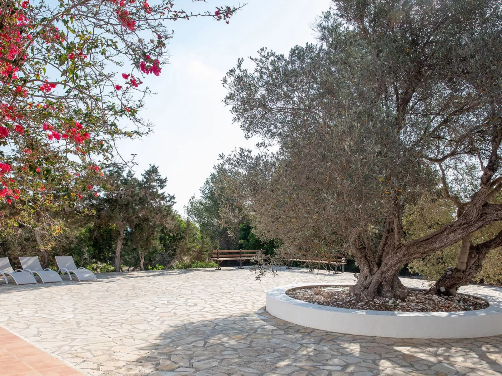 Casa Tramontana 4 pax.  Migjorn Gebiet-Image-tags.info