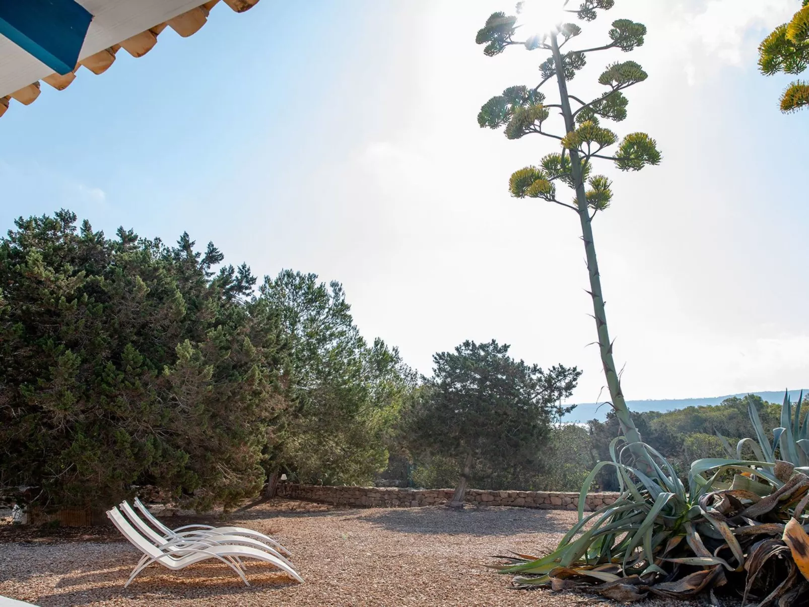 Casa Llevant 4 pax-Buiten