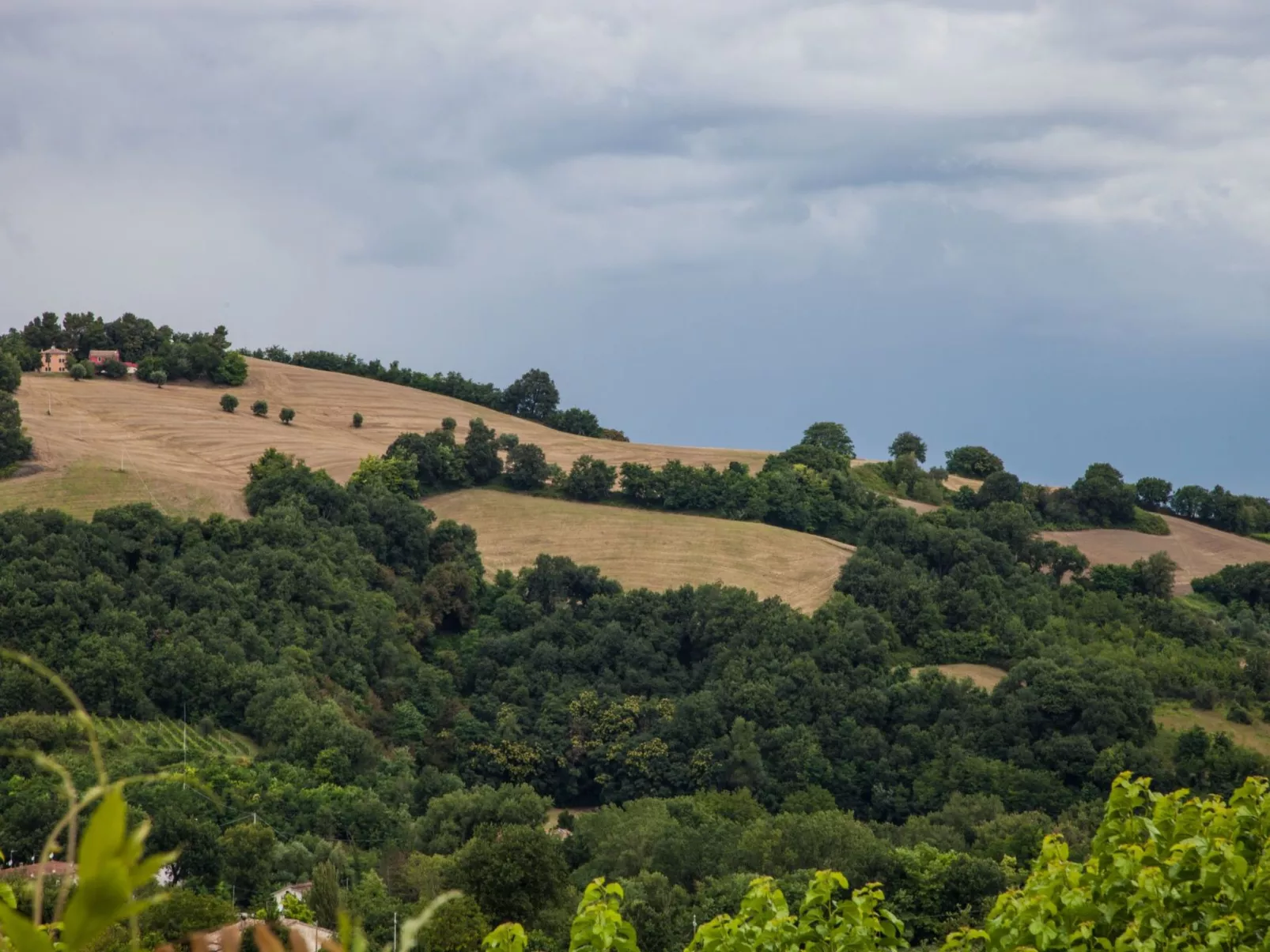 'Orion' mit Terrasse-Image-tags.info