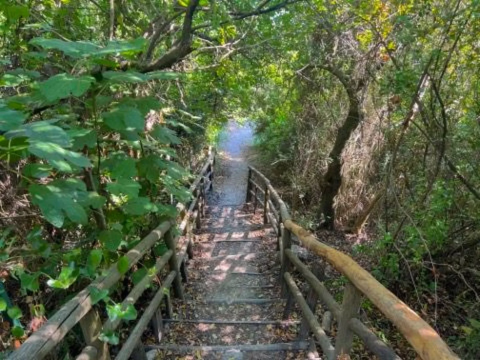 Dominella 3 - Apartment in Casal Velino für bis zu 3 Personen mit Terrasse-Image-tags.info