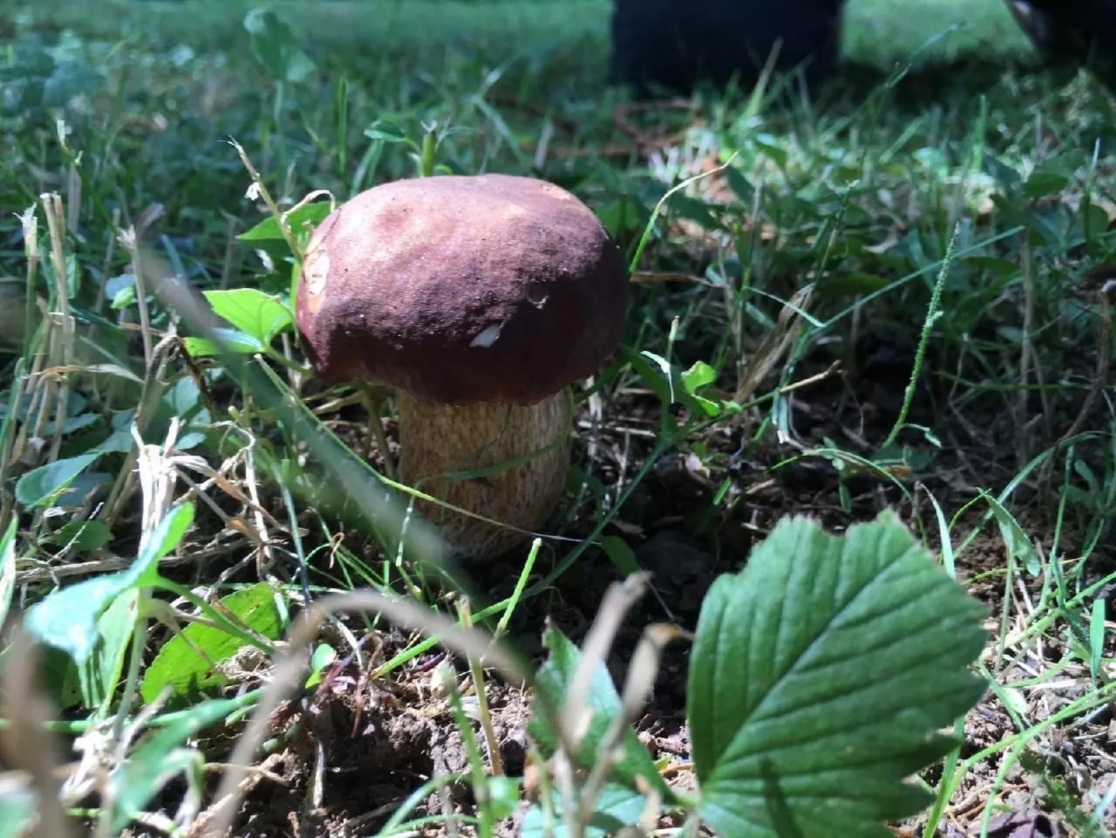 CasaMasa' Wohnung mit Bergblick-Buiten