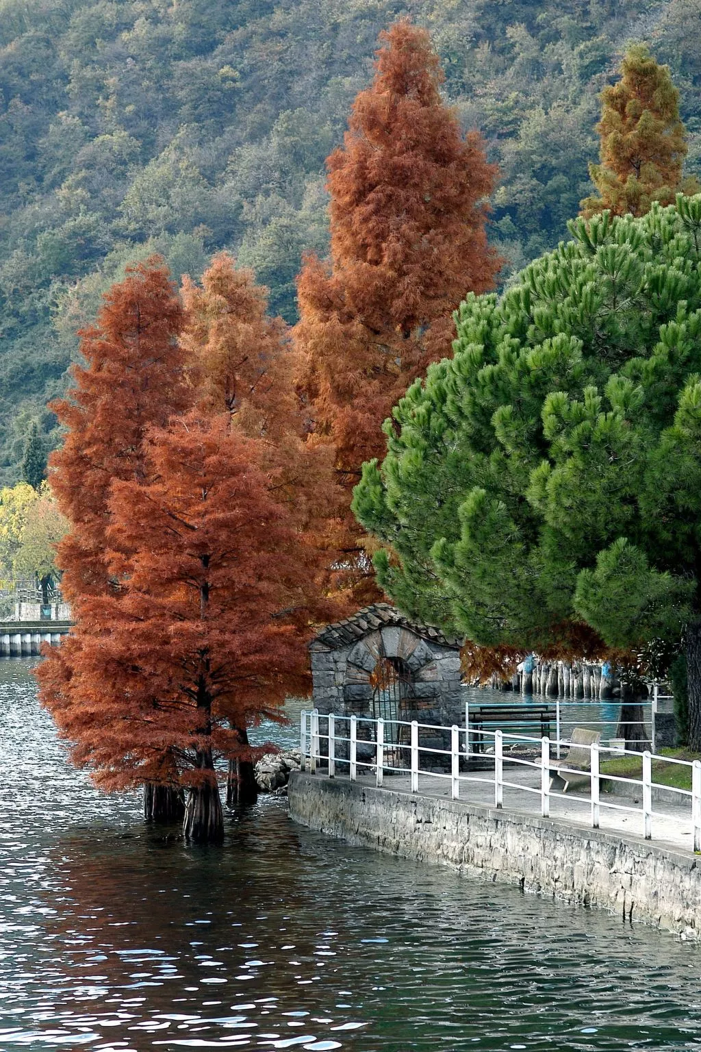 Studio-Apartment mit Balkon mit Seeblick und Zugang zum Garten