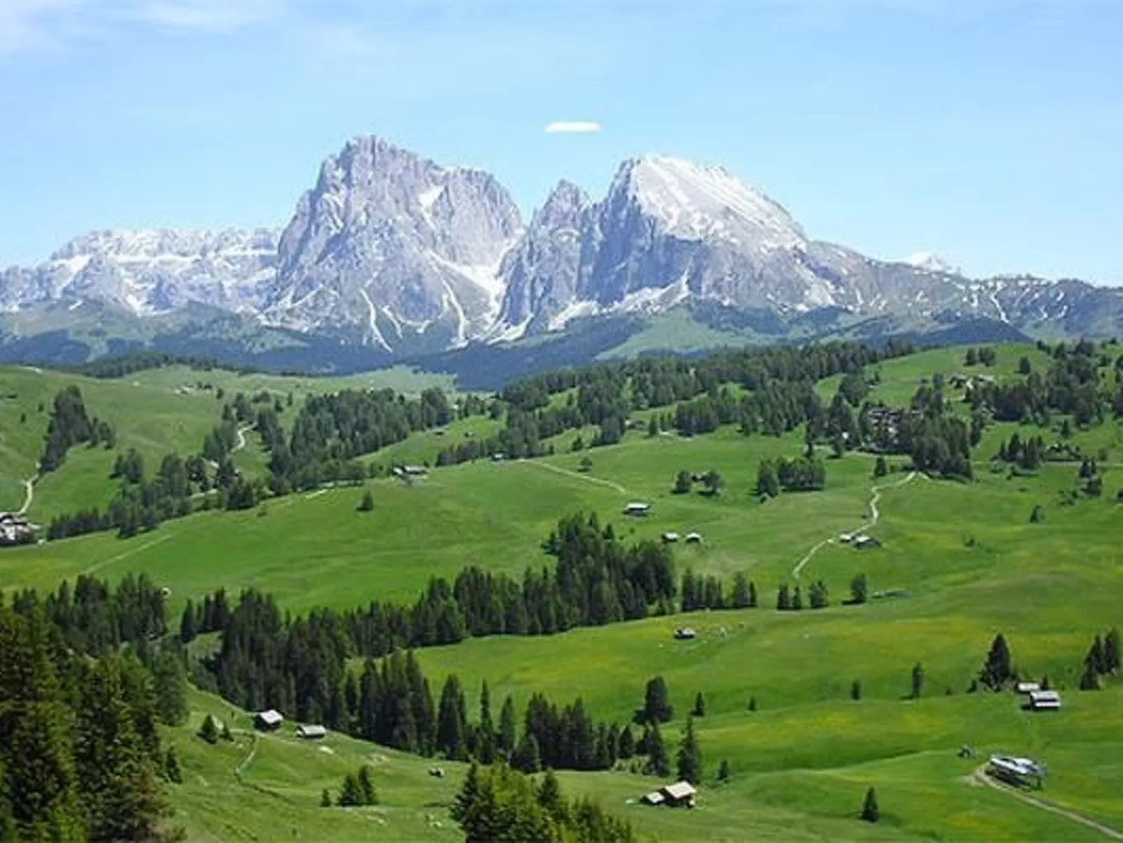 Cesa Vedla DOLOMITES