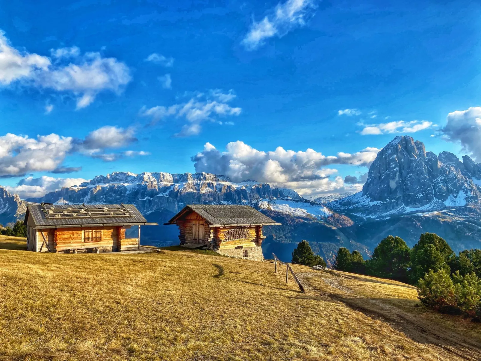 Cesa Vedla DOLOMITES