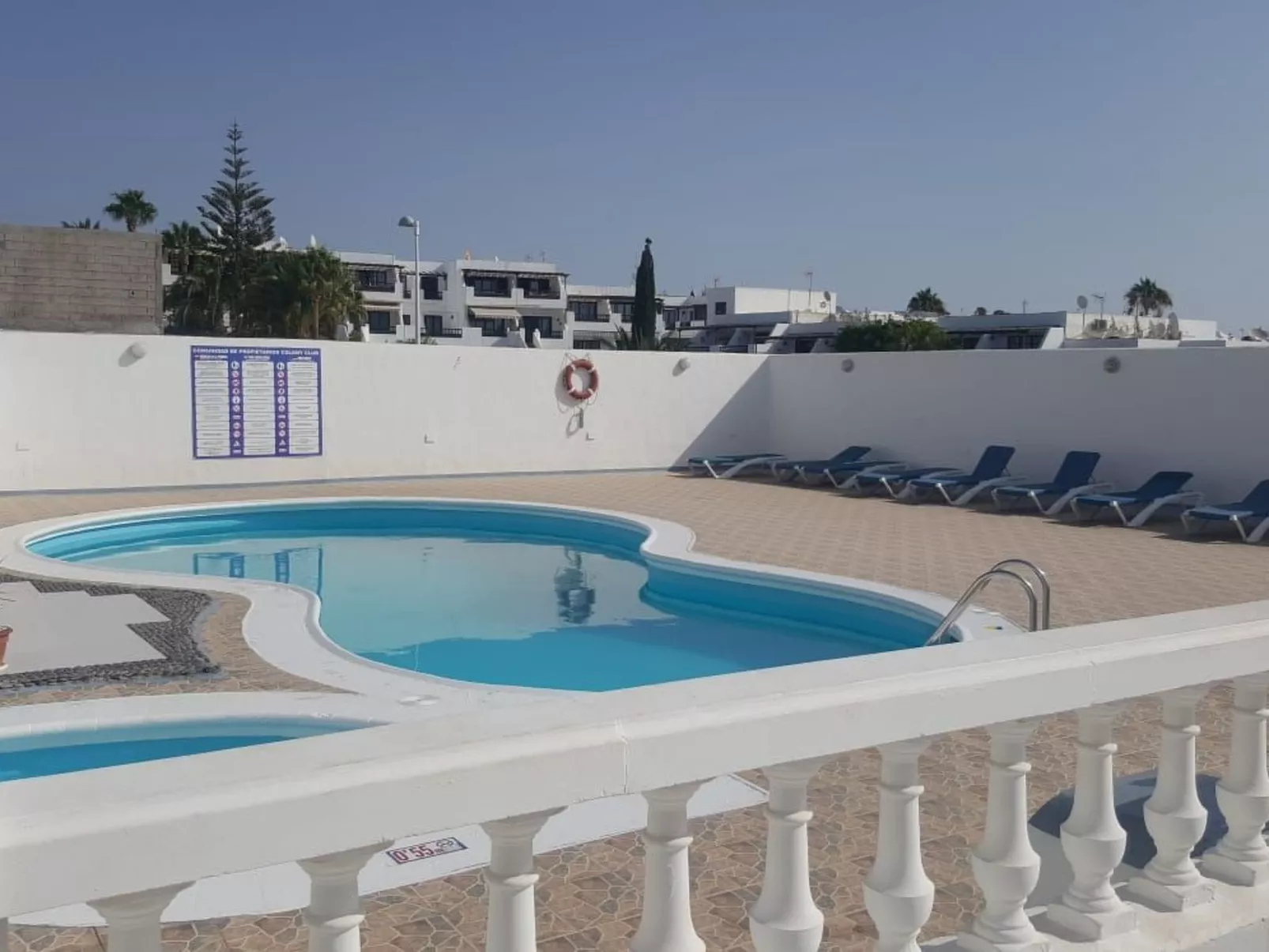 Widder vor dem Meer-Image-tags.info