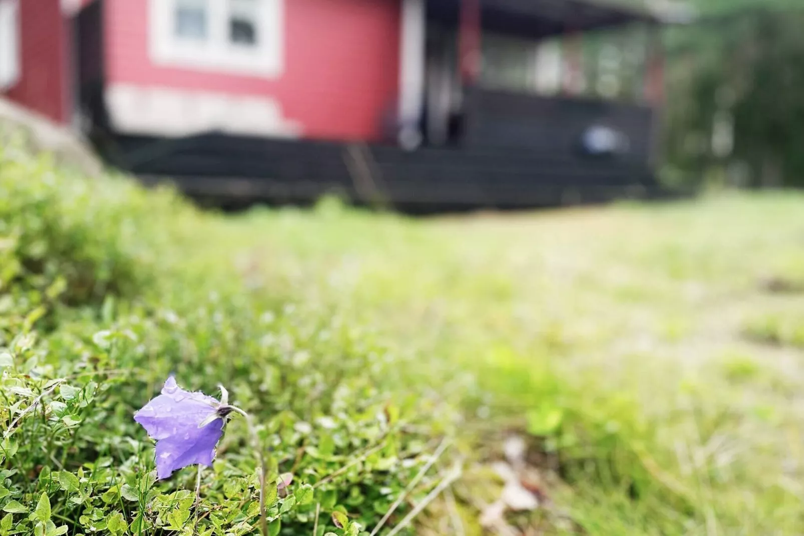 5 persoons vakantie huis in DJURHAMN-By Traum-Buitenlucht