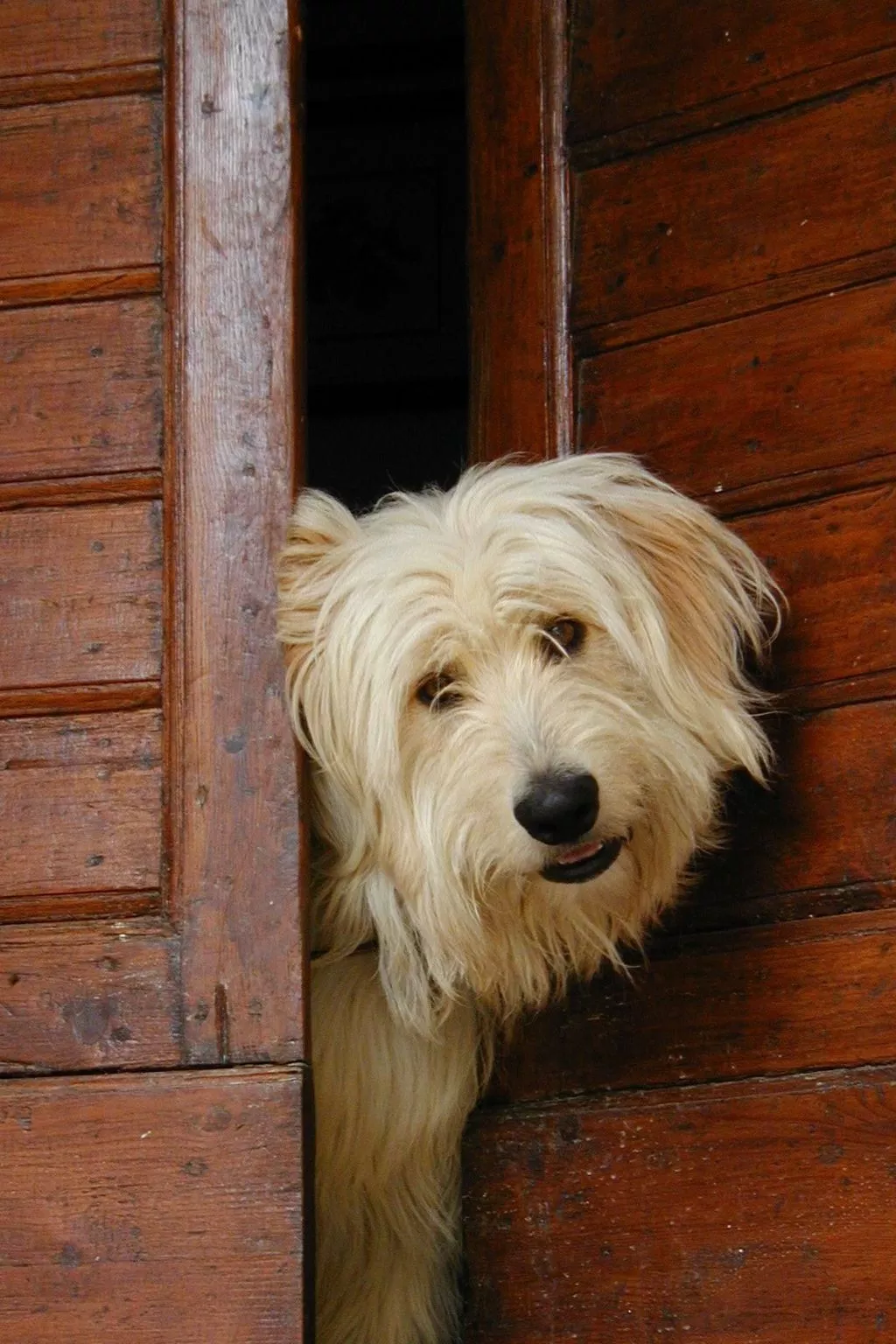 Urlaub flach weiß - Image-tags.info