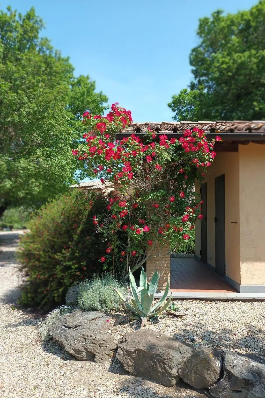 LaPorcilaia, Ferienwohnung mit Seeblick. - Image-tags.info