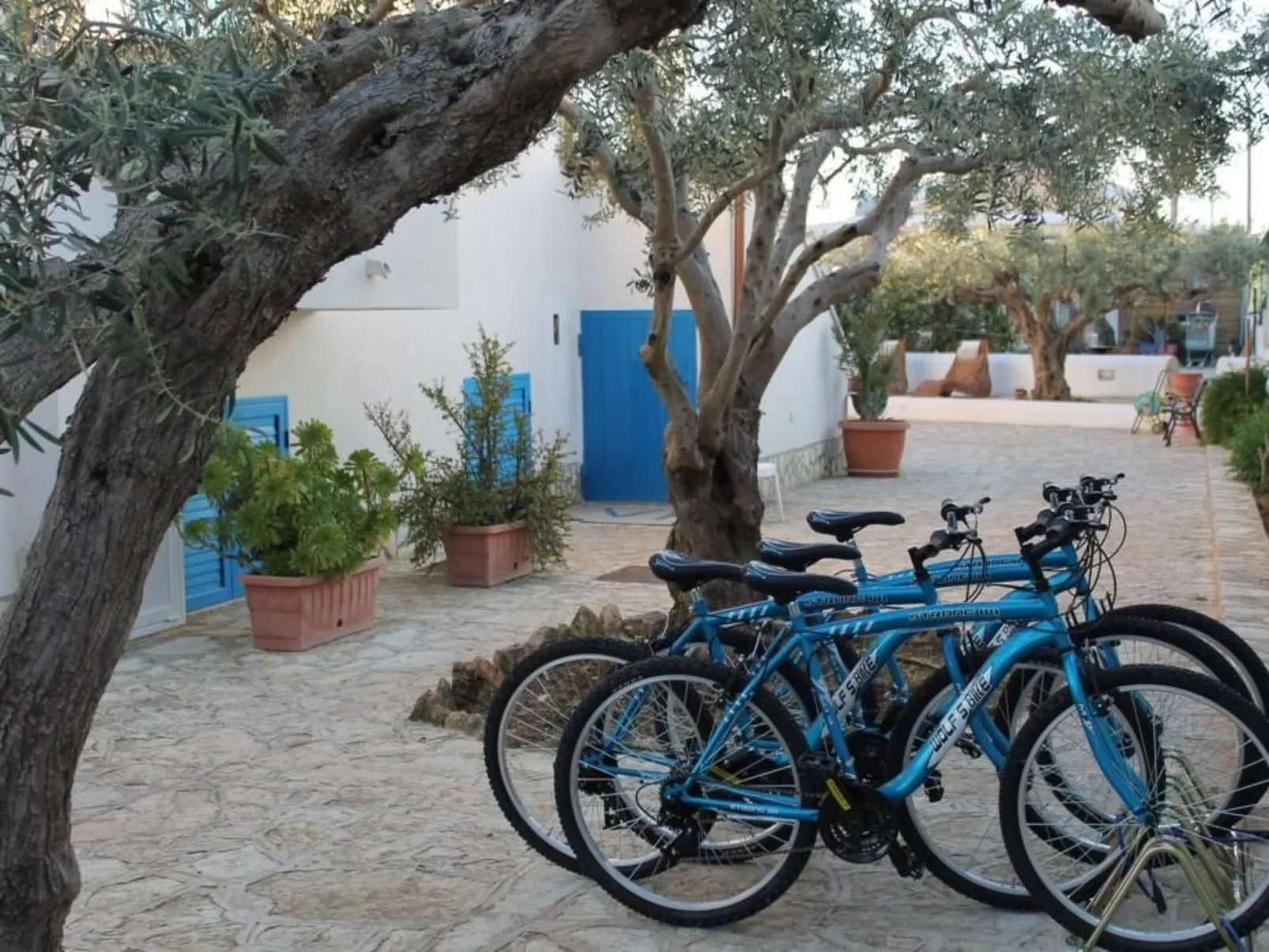 Signorino Resort Studio 4 pax-Image-tags.info