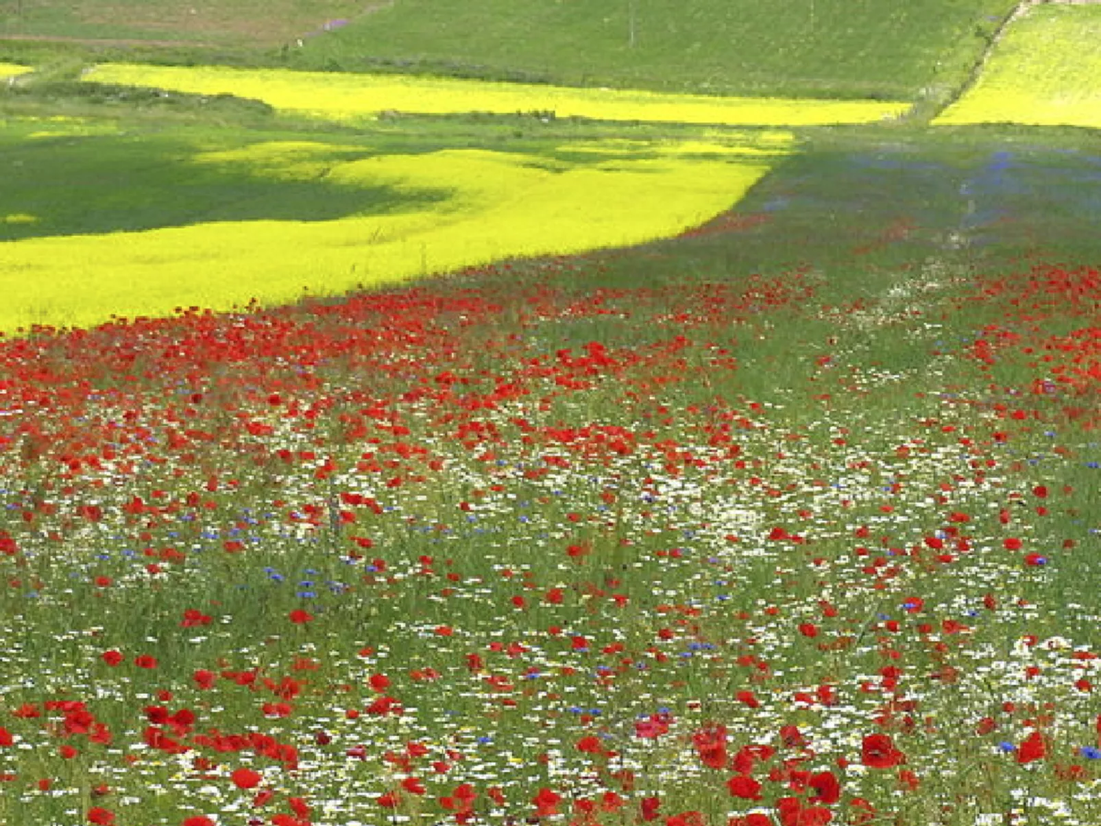 Privates Poolhaus im grünen Herzen von Umbrien-Buiten
