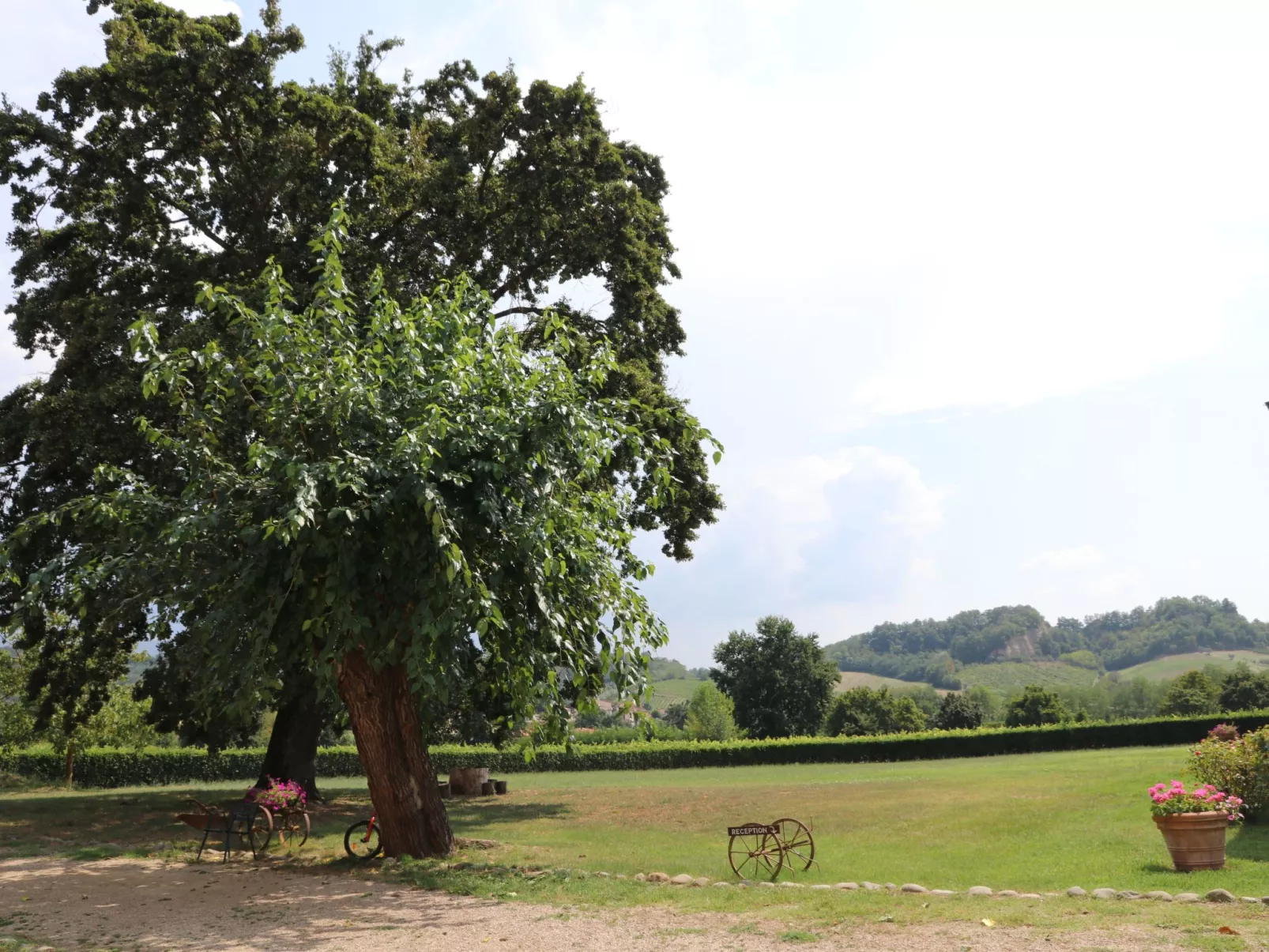 Charmante 1-Zimmer-Wohnung in Reggello-Buiten