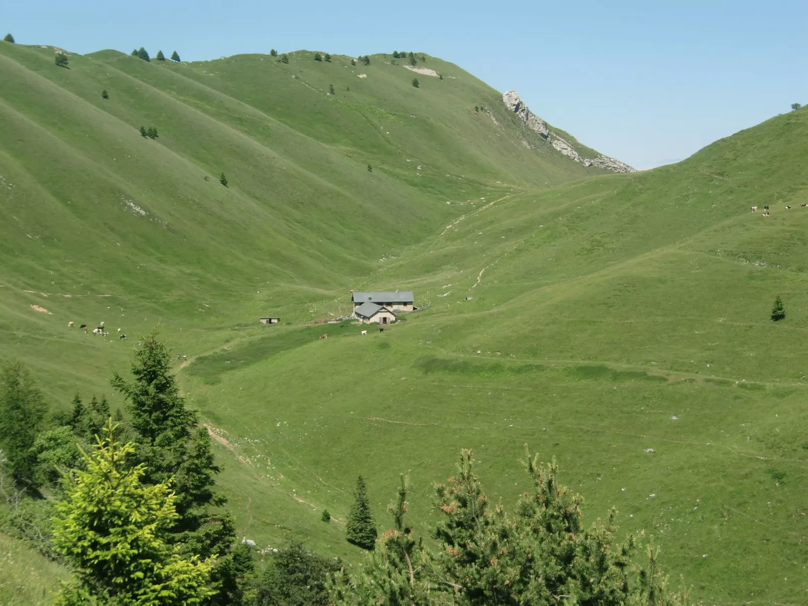 Freistehendes Haus mit eingezäuntem Privatgarten