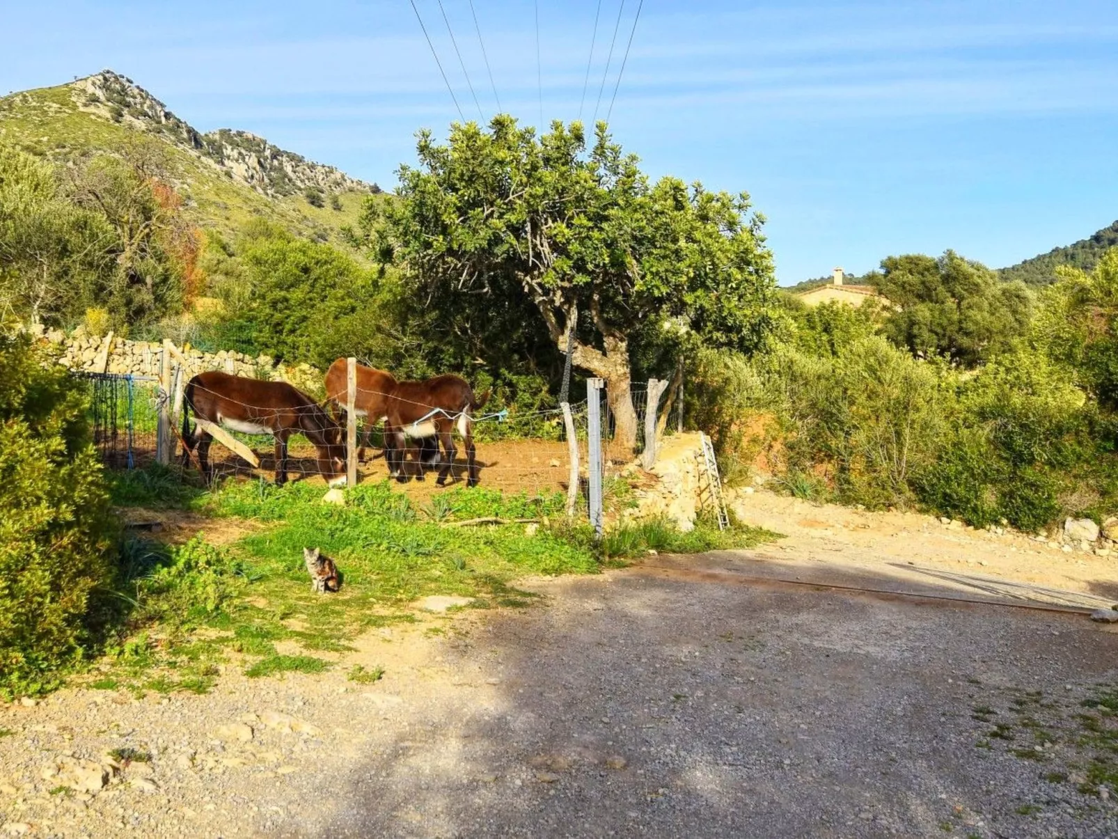 Beeindruckende Finca mit Pool und Klimatisierung-Image-tags.info