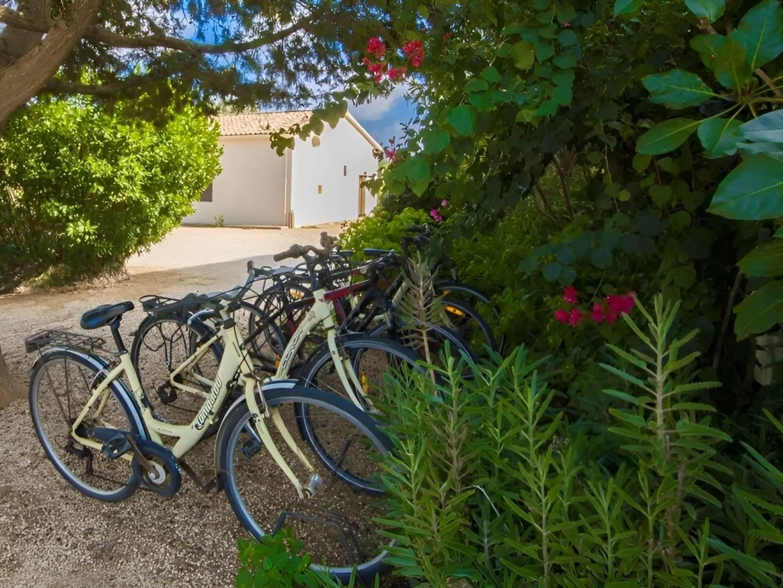 Großes Landhaus mit Schwimmbad in Meeresnähe-Buiten