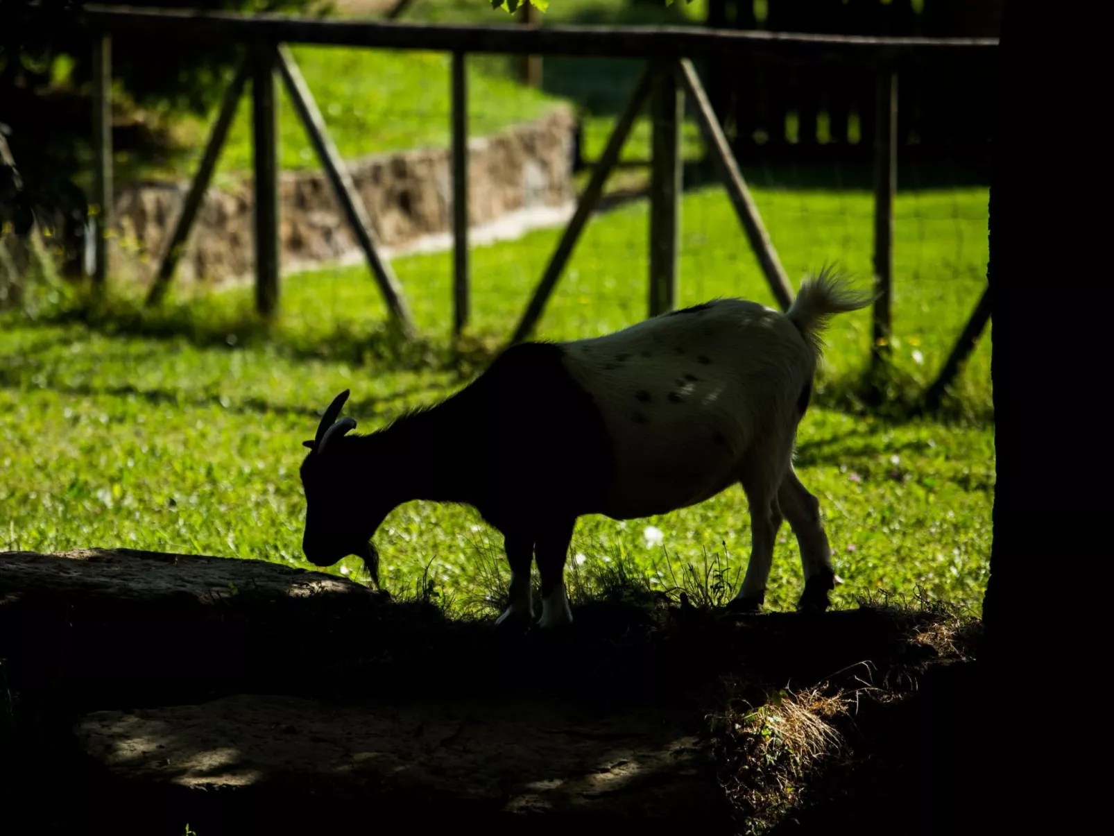 Wohnung "El Corral" mit Terrasse-Buiten