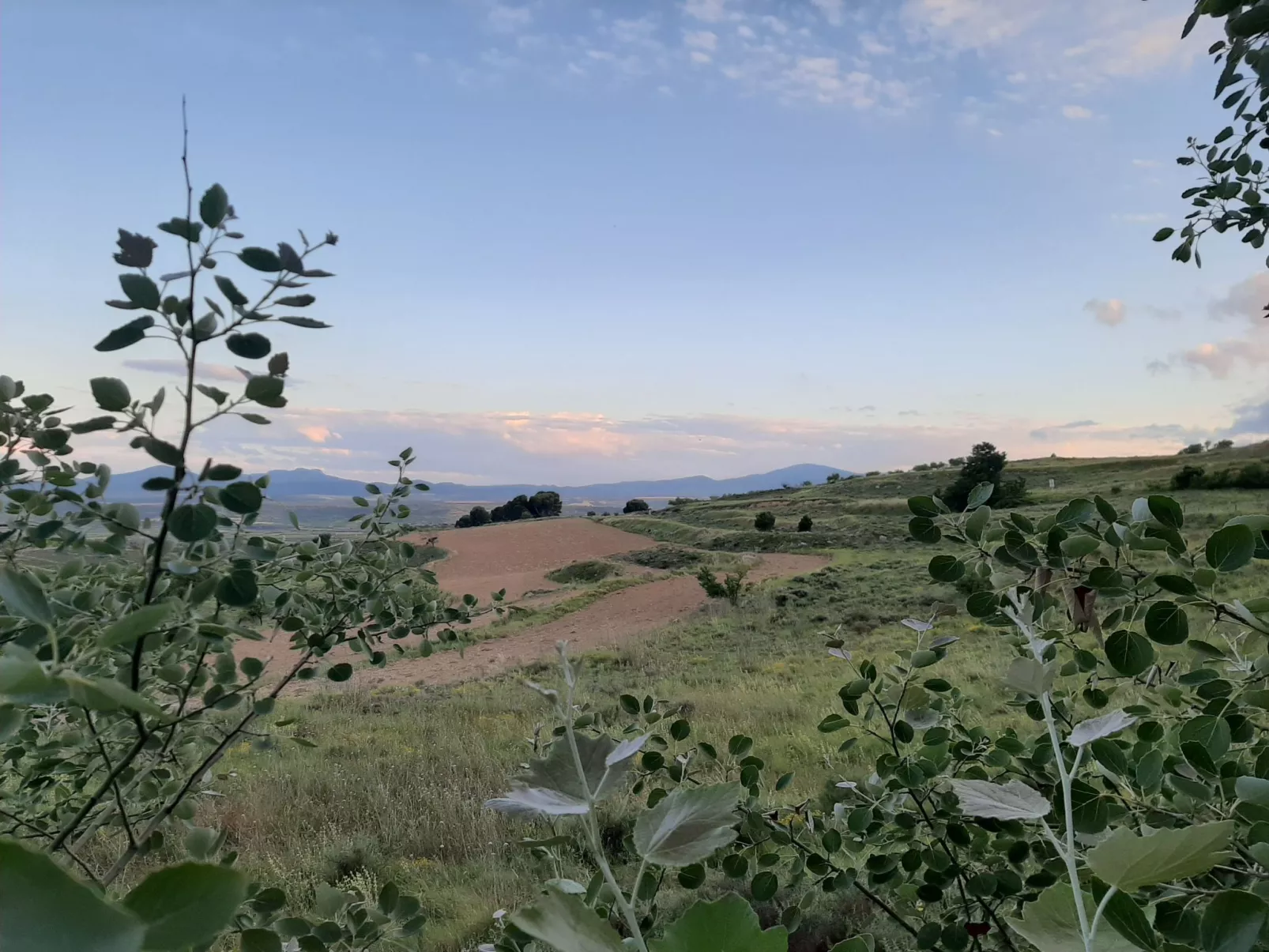 Landwohnung mit Bergblick-Buiten